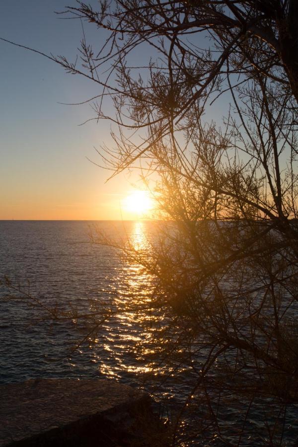 Villa, Stone House With Swimming Pool & Sauna, Beach, Sevid Esterno foto